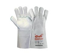 strongAnt GRANADA-Gants de soudure longs en cuir de vachette gants de travail convenant également pour les grillades gants de sécurité - TÜV GS - gris - 6 paires - taille:10