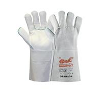 strongAnt GRANADA-Long gants de soudure en cuir de vachette gants de travail également adapté pour griller gants de sécurité - TÜV GS - Gris - 6 paires - Taille:8