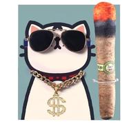 Stronrive Costume Hip Hop pour Chiens, Costume Hip Hop pour Animaux de Compagnie | Collier chaîne et Lunettes de Soleil Chien | Collier pour Animaux de Compagnie, Lunettes de Soleil, Costume pour