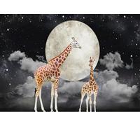STROXTH WALLPAPER Papier Peint 200cmx140cm Nature Paysage 3D Panoramique Argent Blanc Lune Géante Rêve Étoile Girafe Murale Zen Poster géant en Papier Peint