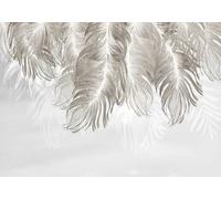 STROXTH WALLPAPER Papier Peint 250cmx175cm Plumes 3D Panoramique Minimaliste Peint À La Main Gris Blanc Énorme Plume Feuilles Fond Mur Zen Poster géant en Papier Peint