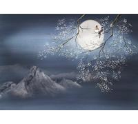STROXTH WALLPAPER Papier Peint 300cmx210cm Nature Paysage 3D Panoramique Abstrait Lune Nuit Blanc Grand Arbre Neige Montagne Fond Bleu Mur Zen Poster géant en Papier Peint