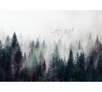 STROXTH WALLPAPER Papier Peint 300cmx210cm Nature Paysage 3D Panoramique Brouillard Frais Moderne Forêt Nuage Oiseau Volant Zen Poster géant en Papier Peint