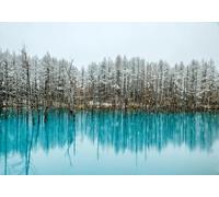 STROXTH WALLPAPER Papier Peint 300cmx256cm Nature Paysage 3D Panoramique Bleu Peinture À L'Huile Lac Neige Bois Paysage Zen Poster géant en Papier Peint
