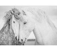 STROXTH WALLPAPER Papier Peint Animaux Panoramique Sur Mesure Paysage Enfant Chinois 3d Peint Main Créatif Couple Cheval Blanc Chambre Salon Adulte Decoration Poster Geant Mural