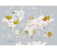 STROXTH WALLPAPER Papier Peint Panoramique Carte Du Monde 3d Chambre Salon Moderne Cartoon Animaux Wapiti Eléphant Pingouin Monde Enfant Garçon Fille Poster Geant Mural (430cmx300cm)