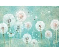 STROXTH WALLPAPER Papier Peint Panoramique Pissenlits 200cmx140cm Fond Bleu Floral De Pissenlit Blanc Minimaliste Tapisserie Chambre Salon Décoration Murale Muraux