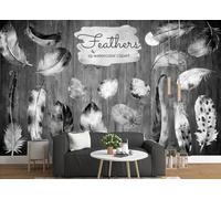 STROXTH WALLPAPER Papier Peint Panoramique Plumes 3D Personnalité Vintage Noir Et Blanc Plumes Bois Planche Murale 400cmx280cm Chambre Salon Zen Poster Geant Mural
