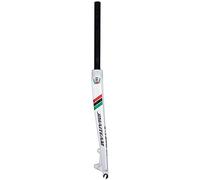 STRTG Fourche VTT 26/27,5/29 Pouces, Fourche De Vélo/3K Fourche Rigide en Fibre De Carbone/Tube Droit 28,6 * 300Mm/Frein À Disque/100Mm Ouverture D,26 inches