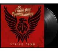 Struck Down - Vinyle 33 Tours