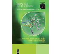 Structural And Catalytic Roles Of Metal Ions In Rna