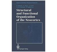 Structural And Functional Organization Of The Neocortex