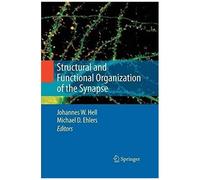 Structural And Functional Organization Of The Synapse