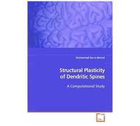 Structural Plasticity Of Dendritic Spines: A Computational Study