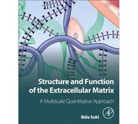 Structure and Function of the Extracellular Matrix by Suki & Bela Professor of Biomedical Engineering & Department of Biomedical Engineering & Boston Univ Suki Bela Professor of Biomedical Engineering
