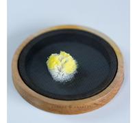 Struggle Of The Trade Unions Against Fascism