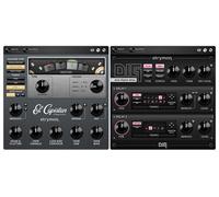 Strymon Strymon Echo Plugin Bundle