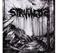 STRYVIGOR - Into The Abyss of Cold [Import]