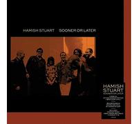 Hamish Stuart – Sooner Or Later – Vinyle 12" (transparent, 180 g)
