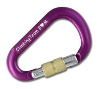 Stubai Pro HMS Cadeau Escalade [gravé au Laser] Mousqueton Violet Idéal pour Alpinisme Mousqueton Aluminium Certifié CE 25kN