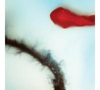 TKO Gear – Stubborn Heart