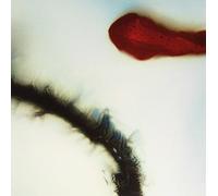 Stubborn Heart – Stubborn Heart