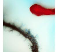 Stubborn Heart - Eponymous [Import allemand]