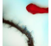 Stubborn Heart – Stubborn Heart