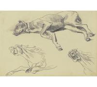 Studienblatt; Die Dogge Cäsar auf der Seite liegend nach links schlafend ; darunter zwei Pferdestudien in starker Untersicht (ca. 1877 - 1878) Poster imprimé par Wilhelm Trübner (61 x 91,4 cm)