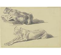 Studienblatt; Die Dogge Cäsar liegend nach links (env. 1877 - 1878) Poster imprimé par Wilhelm Trübner (24 x 36)
