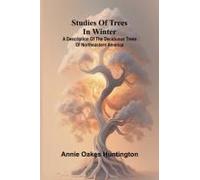 Studies Of Trees In Winter