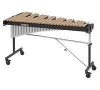 Studio 49 Studio 49 RXC/G 3050/V A=443