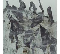 Studio Murena - Wadirum