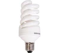 StudioKing Lampe de rechange 40W pour WTK75