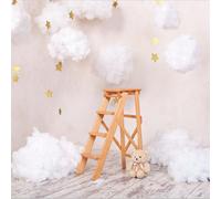 StudioKing toile de fond WSS1 3x2m avec impression en polyester