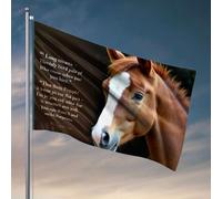 Stuff For Boys Room Horse with White Stripe on Front Flag Man Cave Decor Outdoor Signs And Decor (30 x 45 cm)