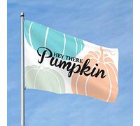 Stuff For Your Room Drapeau de citrouille avec inscription « Hey There » - Cadeau amusant pour mari (30 x 45 cm)