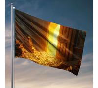 Stuff For Your Room Golden Books and Coins Lead To A Bright Door Flag Fall Decor Outdoor Flags For Room Girls (152 x 244 cm)