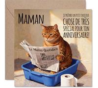 Stuff4 Drôle Carte d'Anniversaire pour Maman, Clin d'Œil Espiègle | Chat Malicieux Lisant un Journal dans Sa Litière, 145 mm Carré, Enveloppe Incluse