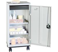 Stumpf Armoire à outils 1 SL 2 WA1100x500x500 mm gris stumpf