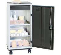 Stumpf Armoire à outils et matériel série 3000 gris clair / gris anthracite + 1 tiroir 100 mm + 2 tablettes coulissantes Support à roulettes - 3093171