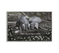 Stupell Industries Giclée encadrée Happier Than Two Pigs In Puddle Blanc 30,5 x 45,7 cm