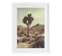 Stupell Industries Impression encadrée Arbre solitaire dans le désert Bouleau sous verre, design par Petal Prints Design, 50,8 x 35,6 cm