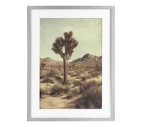 Stupell Industries Impression encadrée arbre solitaire dans le désert gris sous verre, design par Petal Prints Design, 58,4 x 43,2 cm