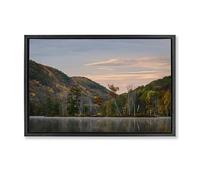 Stupell Industries Nature's Change Reflection Toile murale encadrée flottante grise par James Rodewald, 53,3 x 78,7 cm