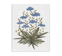 Stupell Industries Où Fleurs sauvages Bloom Art mural design par Cecilia Battaini, 50,8 x 40,6 cm