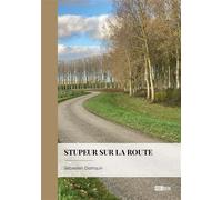 Stupeur sur la route - Sebastien Distriquin - Publibook - broché - roman jeunesse