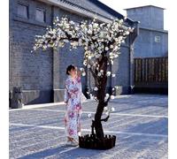 Sturdy Artificial Magnolia Tree with Twisted Trunk - Perfect for Creating Picturesque Spring Displays in Traditional Spaces No Upkeep Required(3 * 2.5M)