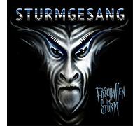 Sturmgesang - Erschaffen im Sturm