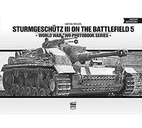 Sturmgeschütz Iii On The Battlefield